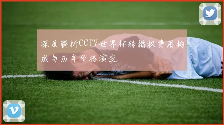 深度解析CCTV世界杯转播权费用构成与历年价格演变