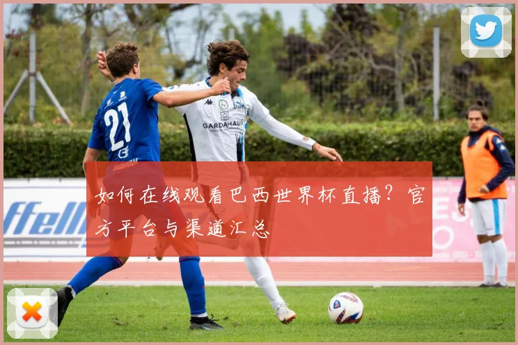 如何在线观看巴西世界杯直播?官方平台与渠道汇总