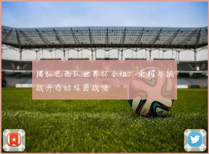 揭秘巴西队世界杯小组：荣耀与挑战并存的绿茵战场