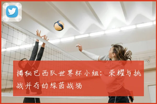 揭秘巴西队世界杯小组：荣耀与挑战并存的绿茵战场