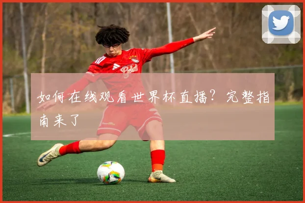 如何在线观看世界杯直播?完整指南来了