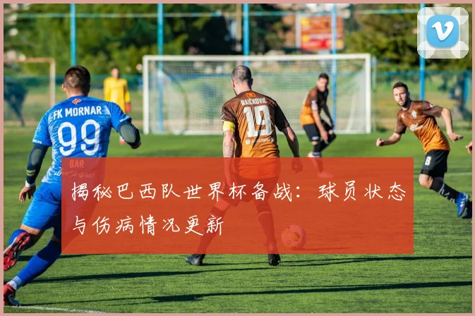 揭秘巴西队世界杯备战：球员状态与伤病情况更新
